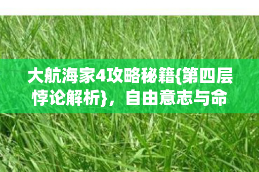 大航海家4攻略秘籍图片