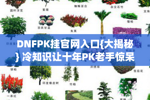冷知识让十年PK老手惊呆图片