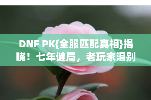 DNF PK图片