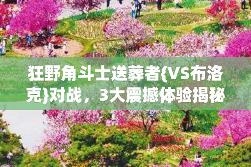狂野角斗士送葬者图片
