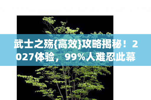 2027体验图片