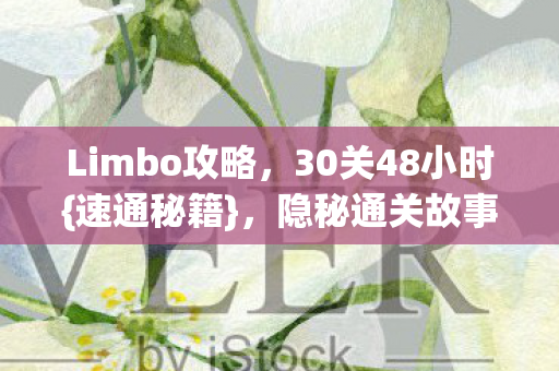 Limbo攻略,30关48小时{速通秘籍},隐秘通关故事 Limbo攻略,30关48小时{速通秘籍},隐秘通关故事