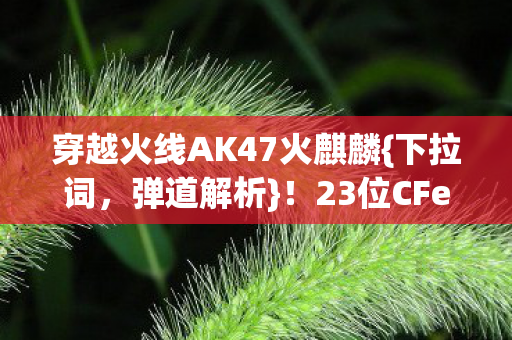 穿越火线AK47火麒麟{下拉词,弹道解析}!23位CFer亲述突变疑云 穿越火线AK47火麒麟{下拉词,弹道解析}!23位CFer亲述突变疑云