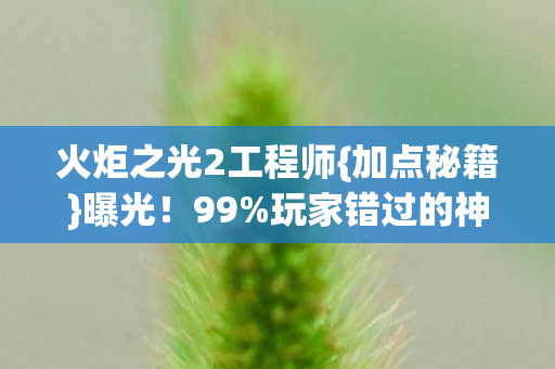 火炬之光2工程师图片