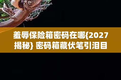 羞辱保险箱密码在哪图片