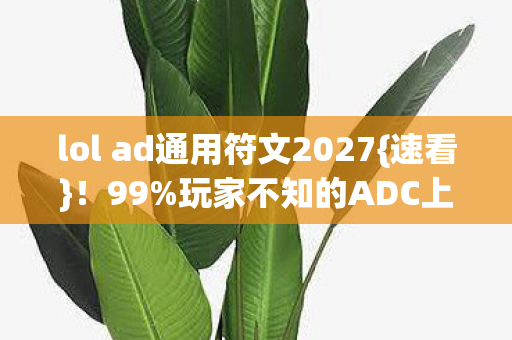 lol ad通用符文2027图片