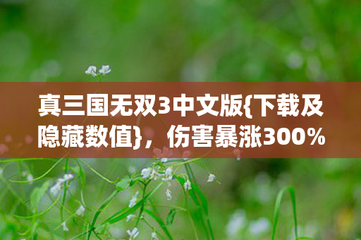 真三国无双3中文版图片