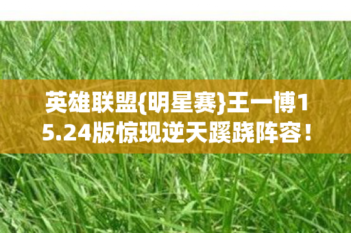 24版惊现逆天蹊跷阵容图片