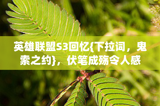 英雄联盟S3回忆图片