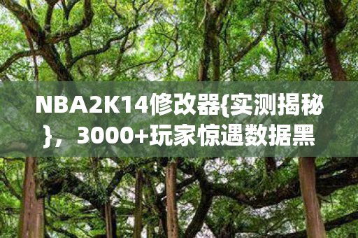 NBA2K14修改器图片