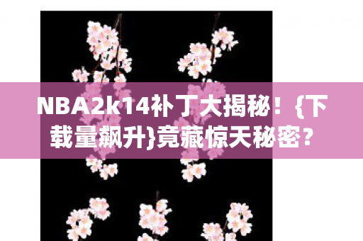 NBA2k14补丁大揭秘图片