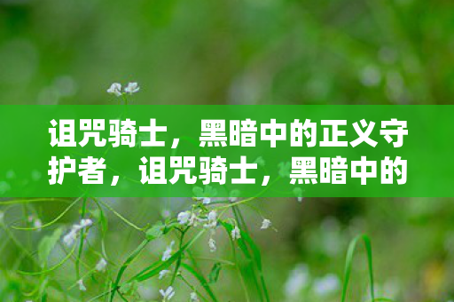 诅咒骑士，黑暗中的正义守护者，诅咒骑士，黑暗中的正义守护者