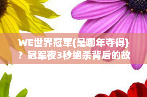 冠军夜3秒绝杀背后的故事图片