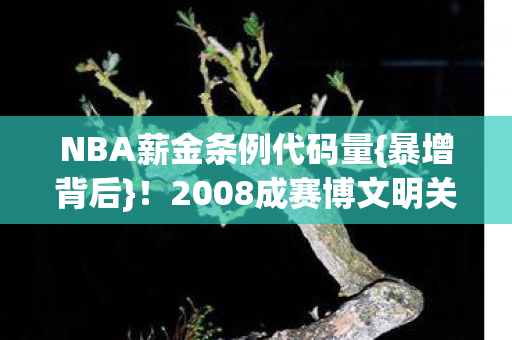 NBA薪金条例代码量{暴增背后}!2008成赛博文明关键节点 NBA薪金条例代码量{暴增背后}!2008成赛博文明关键节点