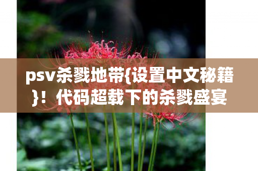 psv杀戮地带{设置中文秘籍}!代码超载下的杀戮盛宴 psv杀戮地带{设置中文秘籍}!代码超载下的杀戮盛宴