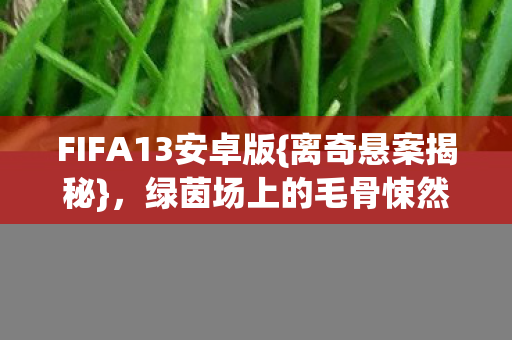 绿茵场上的毛骨悚然线索图片
