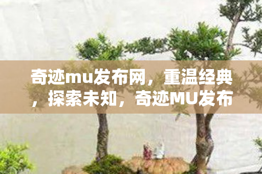 奇迹mu发布网图片