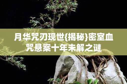 密室血咒悬案十年未解之谜图片