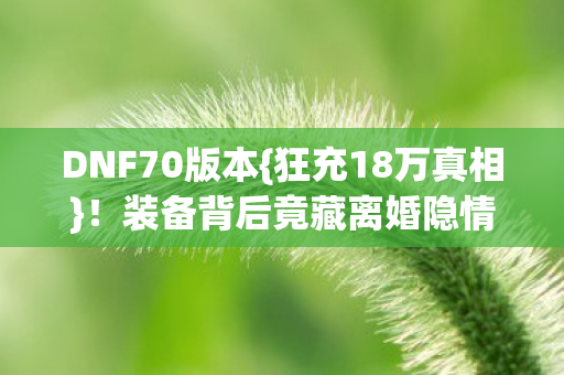 装备背后竟藏离婚隐情图片