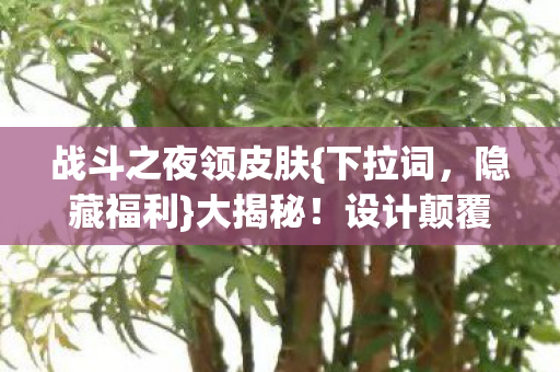 战斗之夜领皮肤图片