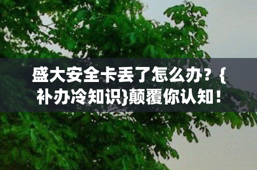盛大安全卡丢了怎么办图片