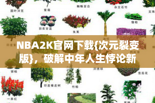 破解中年人生悖论新体验图片