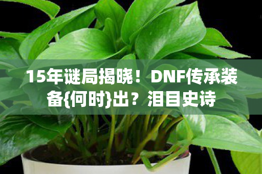 15年谜局揭晓图片