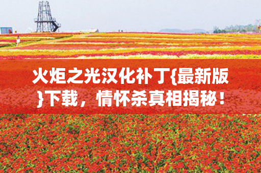 火炬之光汉化补丁图片