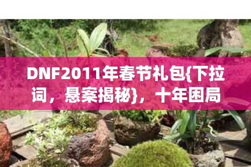 DNF2011年春节礼包图片