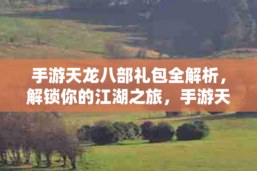 手游天龙八部礼包全解析图片