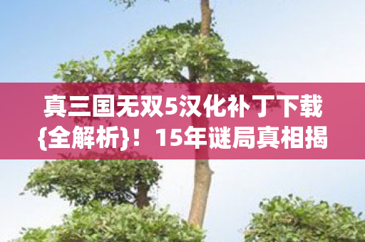真三国无双5汉化补丁下载图片