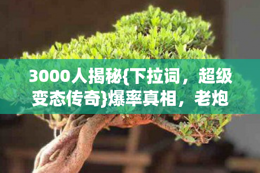3000人揭秘图片