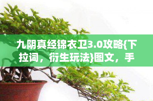 九阴真经锦衣卫3图片