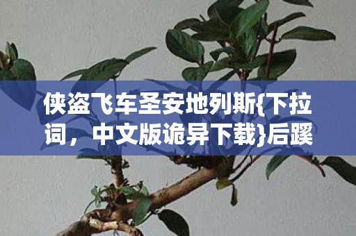 侠盗飞车圣安地列斯图片