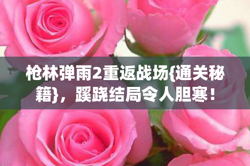 枪林弹雨2重返战场图片