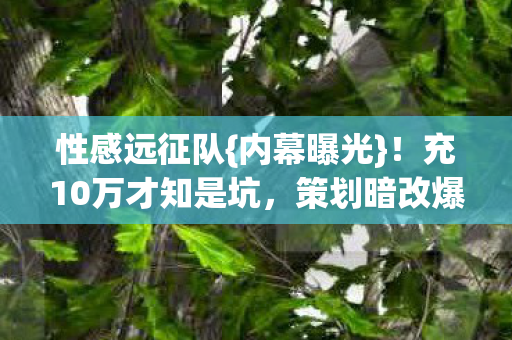 性感远征队{内幕曝光}！充10万才知是坑，策划暗改爆率