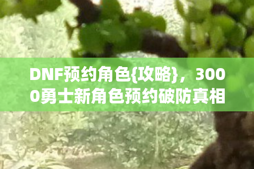 DNF预约角色{攻略},3000勇士新角色预约破防真相 DNF预约角色{攻略},3000勇士新角色预约破防真相