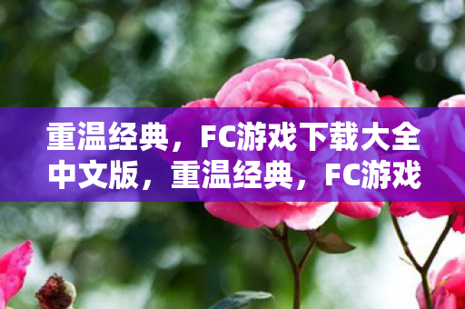 FC游戏下载大全中文版图片