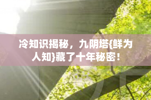 藏了十年秘密图片