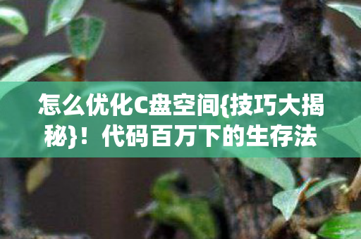怎么优化C盘空间{技巧大揭秘}!代码百万下的生存法则 怎么优化C盘空间{技巧大揭秘}!代码百万下的生存法则