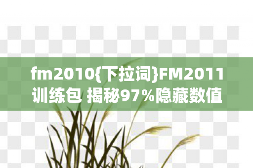 fm2010{下拉词}FM2011训练包 揭秘97%隐藏数值与爆率黑洞 fm2010{下拉词}FM2011训练包 揭秘97%隐藏数值与爆率黑洞