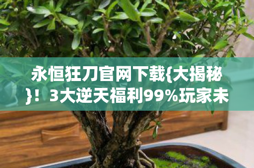 永恒狂刀官网下载图片
