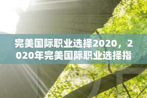 2020年完美国际职业选择指南图片