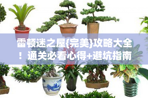 通关必看心得图片