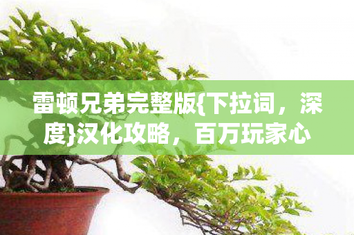 百万玩家心寒之谜图片