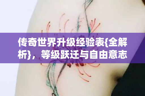 等级跃迁与自由意志之辩图片