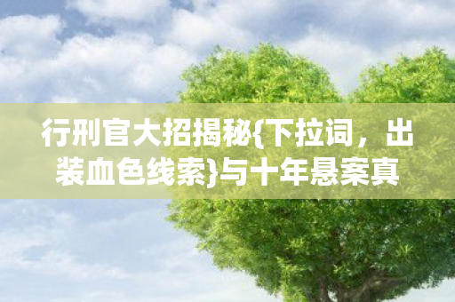 行刑官大招揭秘图片