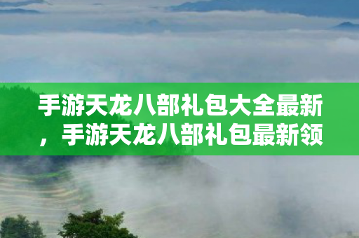 手游天龙八部礼包最新领取指南图片