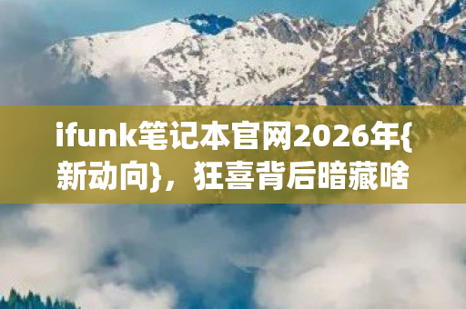 ifunk笔记本官网2026年图片