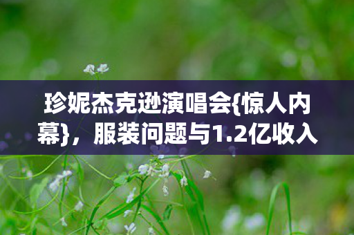 珍妮杰克逊演唱会图片
